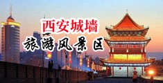 射射射逼逼中国陕西-西安城墙旅游风景区